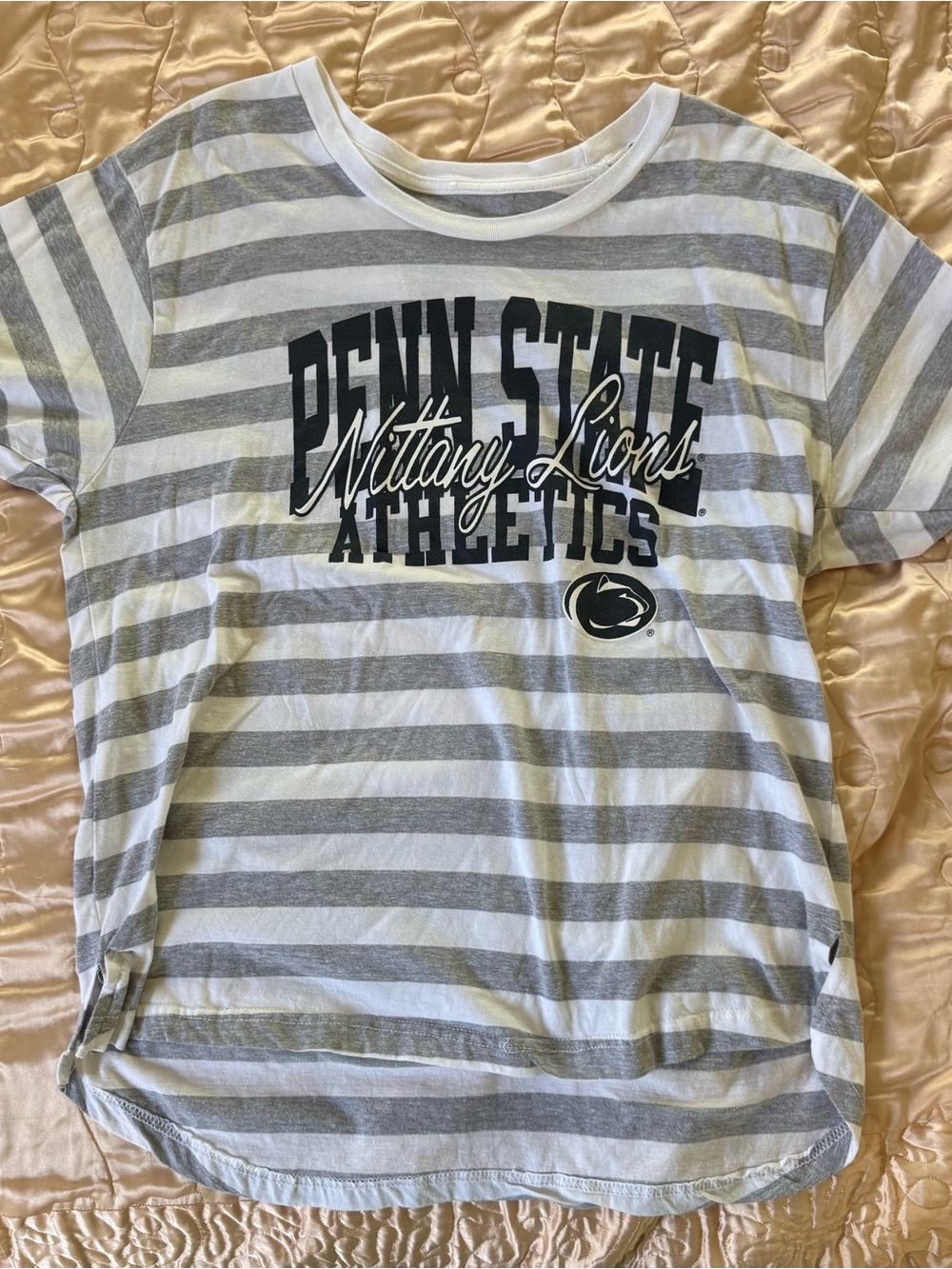 Penn State Nittany Lions Gray & White Striped Tee